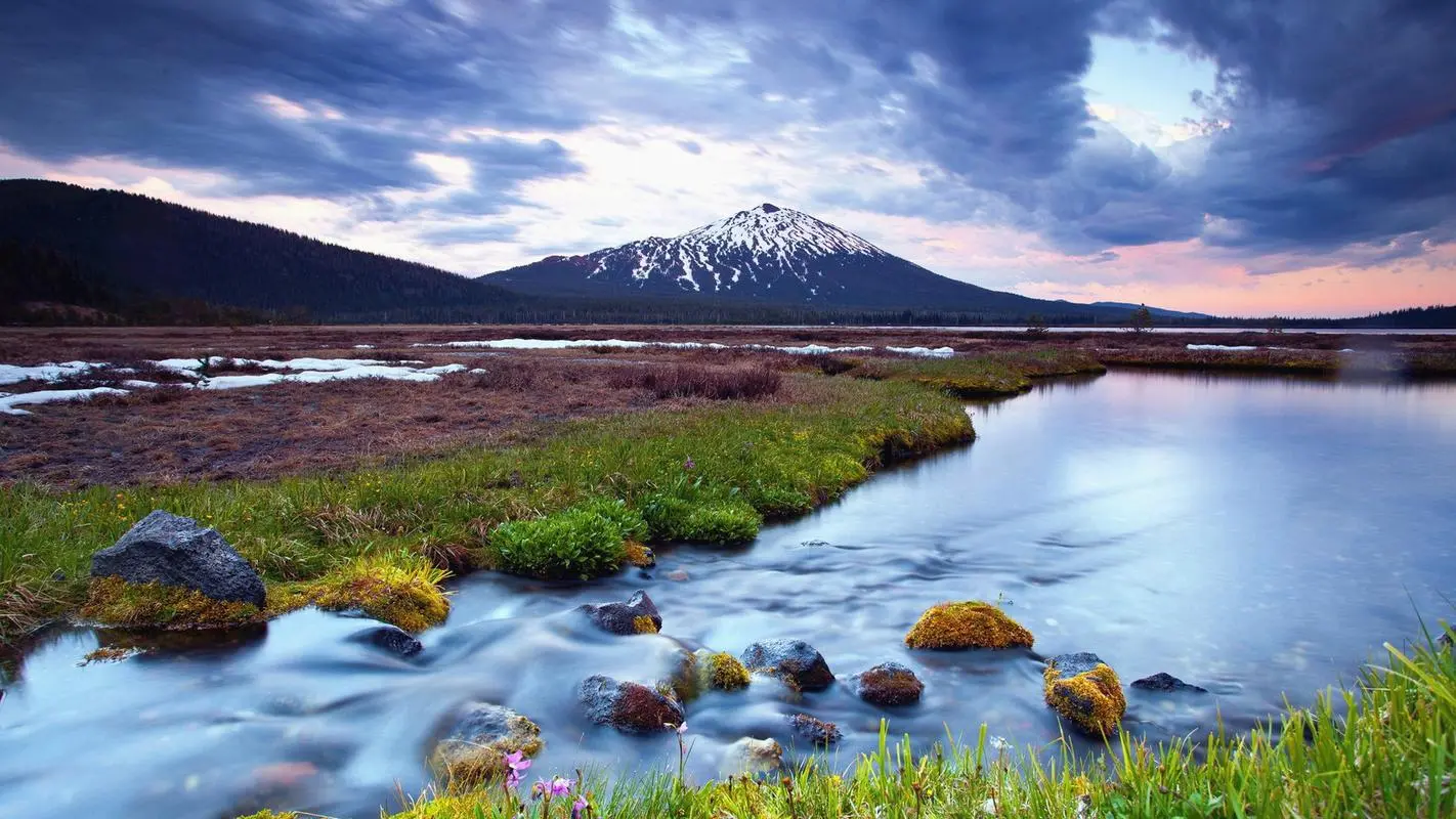 数字化全自动智慧